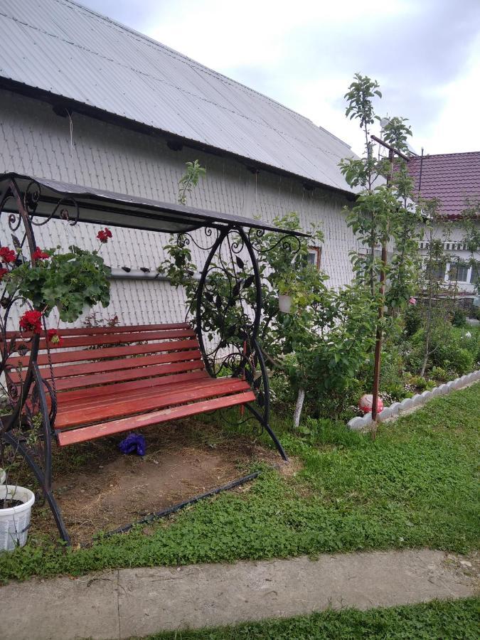 Casuta Bunicilor Villa Dorna Cindrenilor Exterior foto