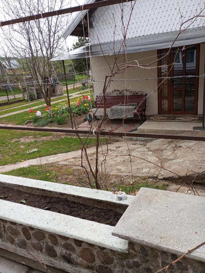 Casuta Bunicilor Villa Dorna Cindrenilor Exterior foto