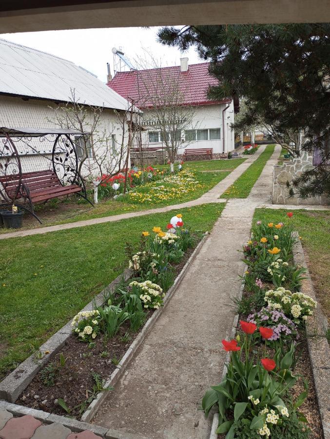 Casuta Bunicilor Villa Dorna Cindrenilor Exterior foto