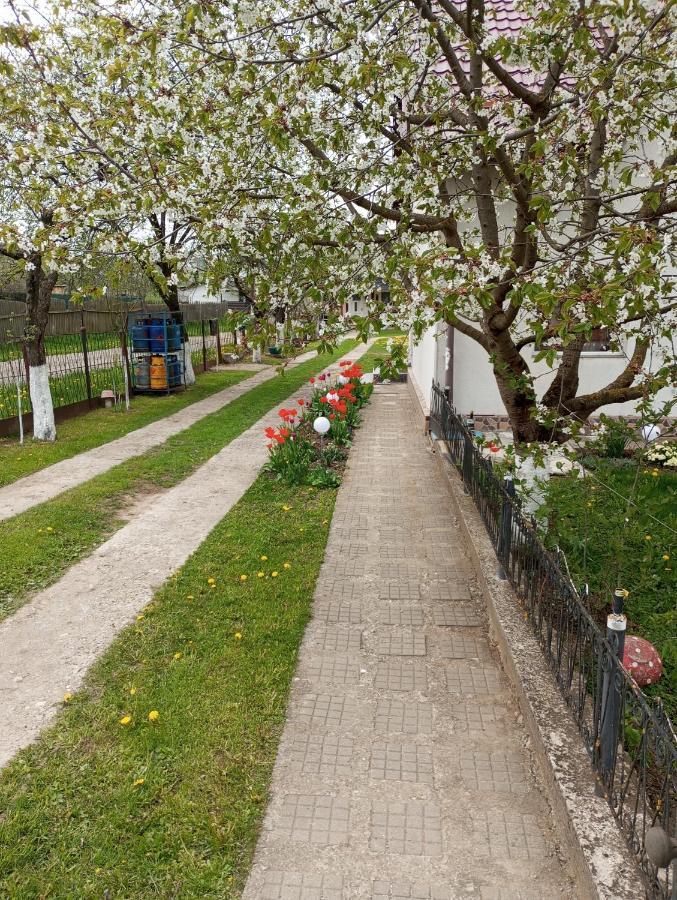 Casuta Bunicilor Villa Dorna Cindrenilor Exterior foto