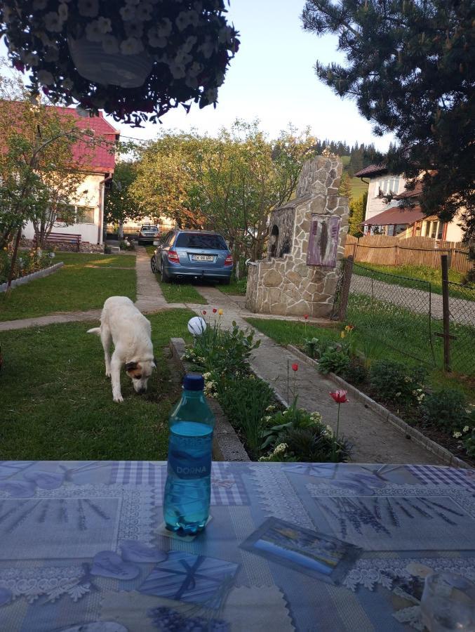 Casuta Bunicilor Villa Dorna Cindrenilor Exterior foto